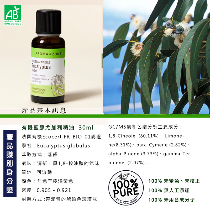 有機藍膠尤加利精油30ml圖1