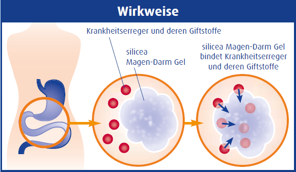 tl_files/huebner_vital/img/product-packshots/Wirkweise silicea MDG.PNG