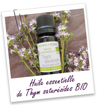 FT_trombone_HE_MS_thym-satureoides-BIO.png
