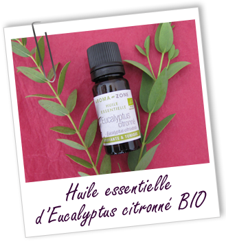 FT_trombone_HE_MS_eucalyptus-citronne-BIO.png