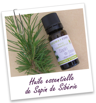 FT_trombone_HE_MS_sapin-siberie_0.png