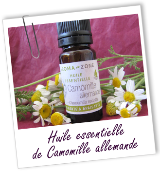 FT_trombone_HE_MS_camomille-allemande_0.png