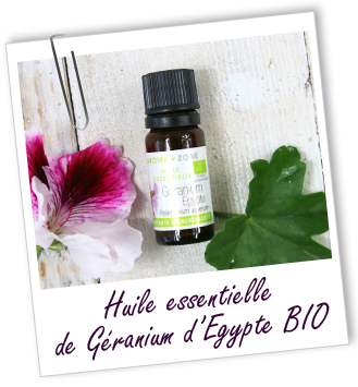 FT_trombone_HE_MS_geranium-egypte_bio_1.png