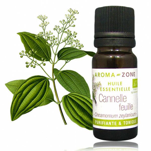 catalogue_he_cannelle-feuille-bio.jpg