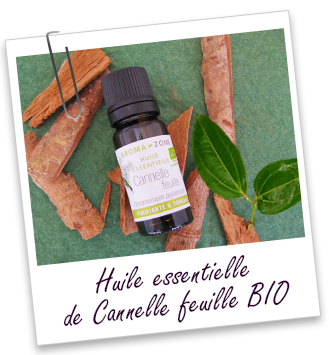 FT_trombone_HE_MS_cannelle-feuilles-BIO.png