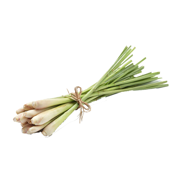 35f8f753ad2e1e585291648e6109c308.png
