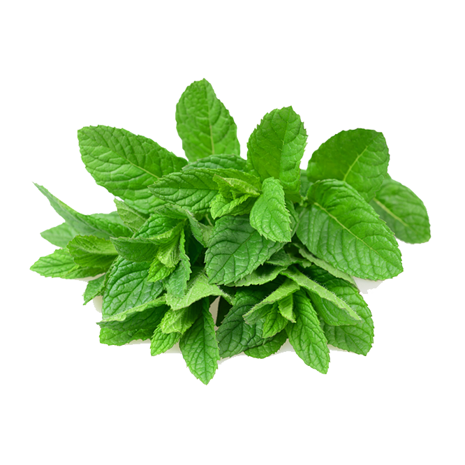 pngwing.com (3).png
