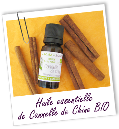 FT_trombone_HE_MS_cannelle-chine-BIO