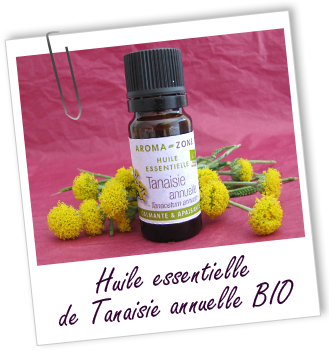 FT_trombone_HE_MS_tanaisie-annuelle-BIO