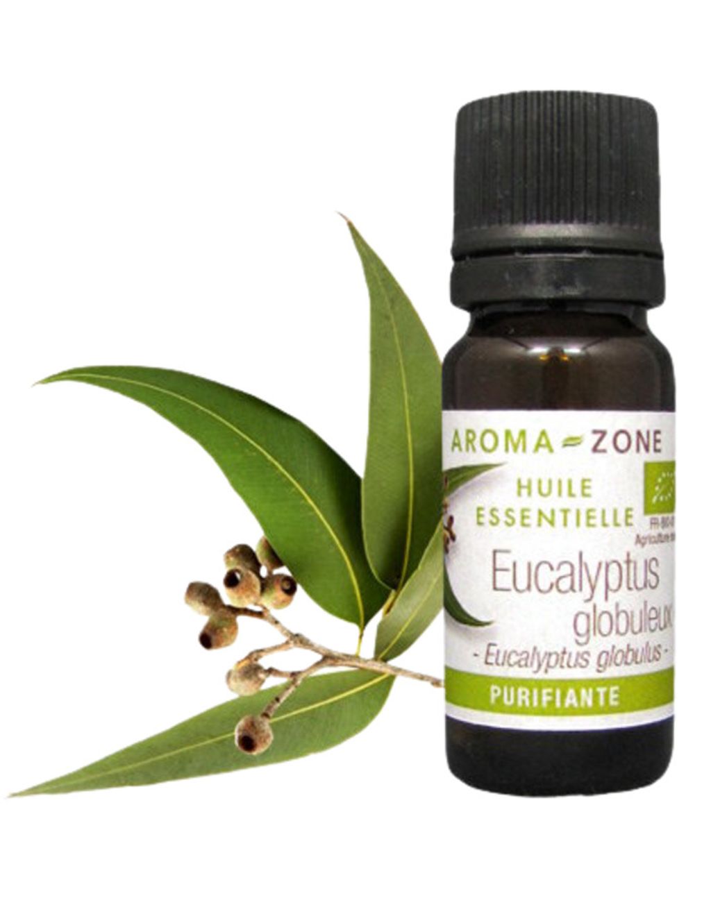 藍膠尤加利精油主圖1