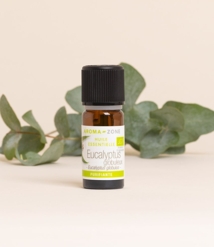 00029-HE_eucalyptus_-KXvNDa28