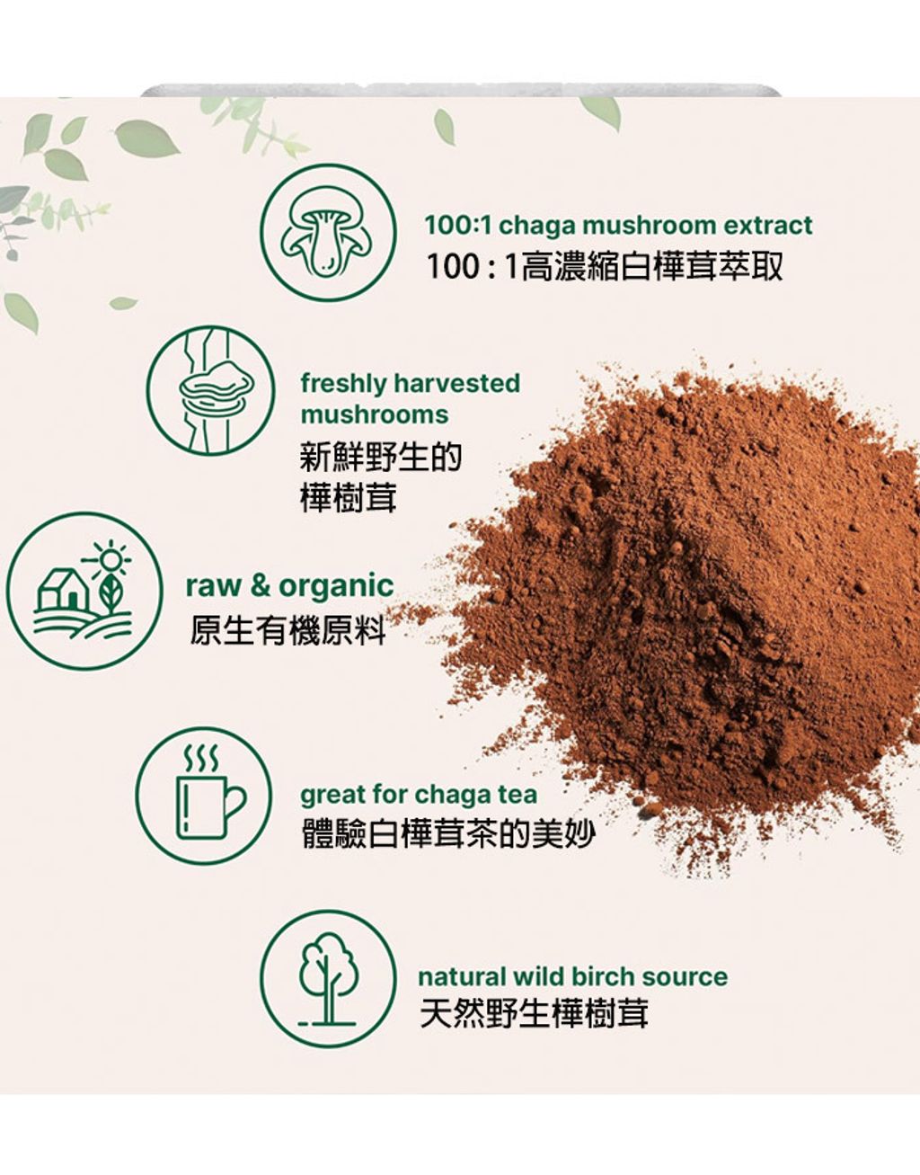 主圖2有機白樺茸高濃度萃取粉