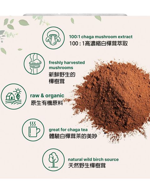 主圖2有機白樺茸高濃度萃取粉