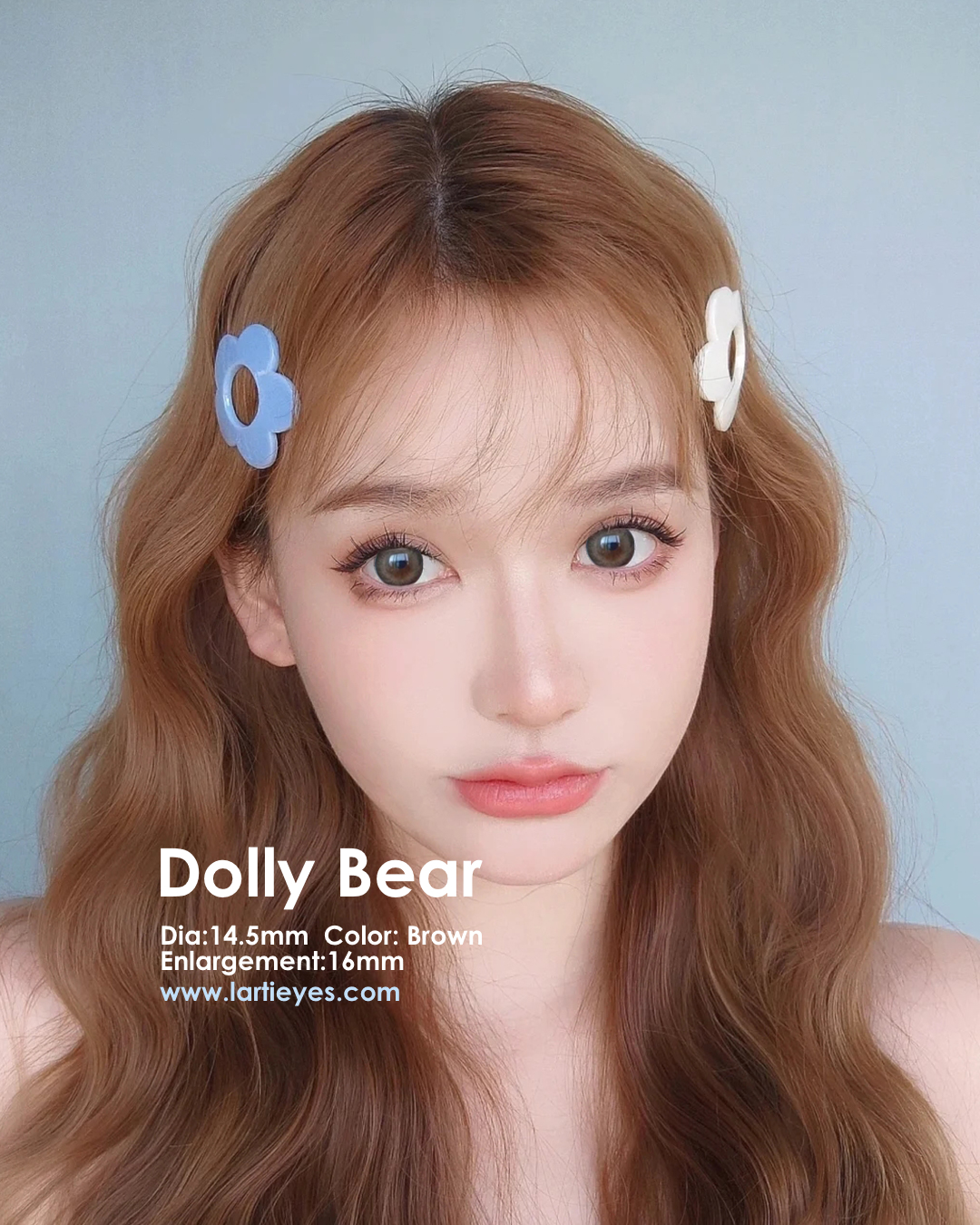 Dolly Bear Brown model 1