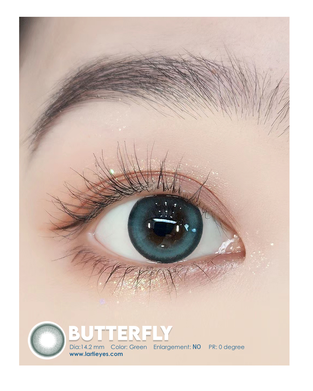 Butterfly  focus eyes