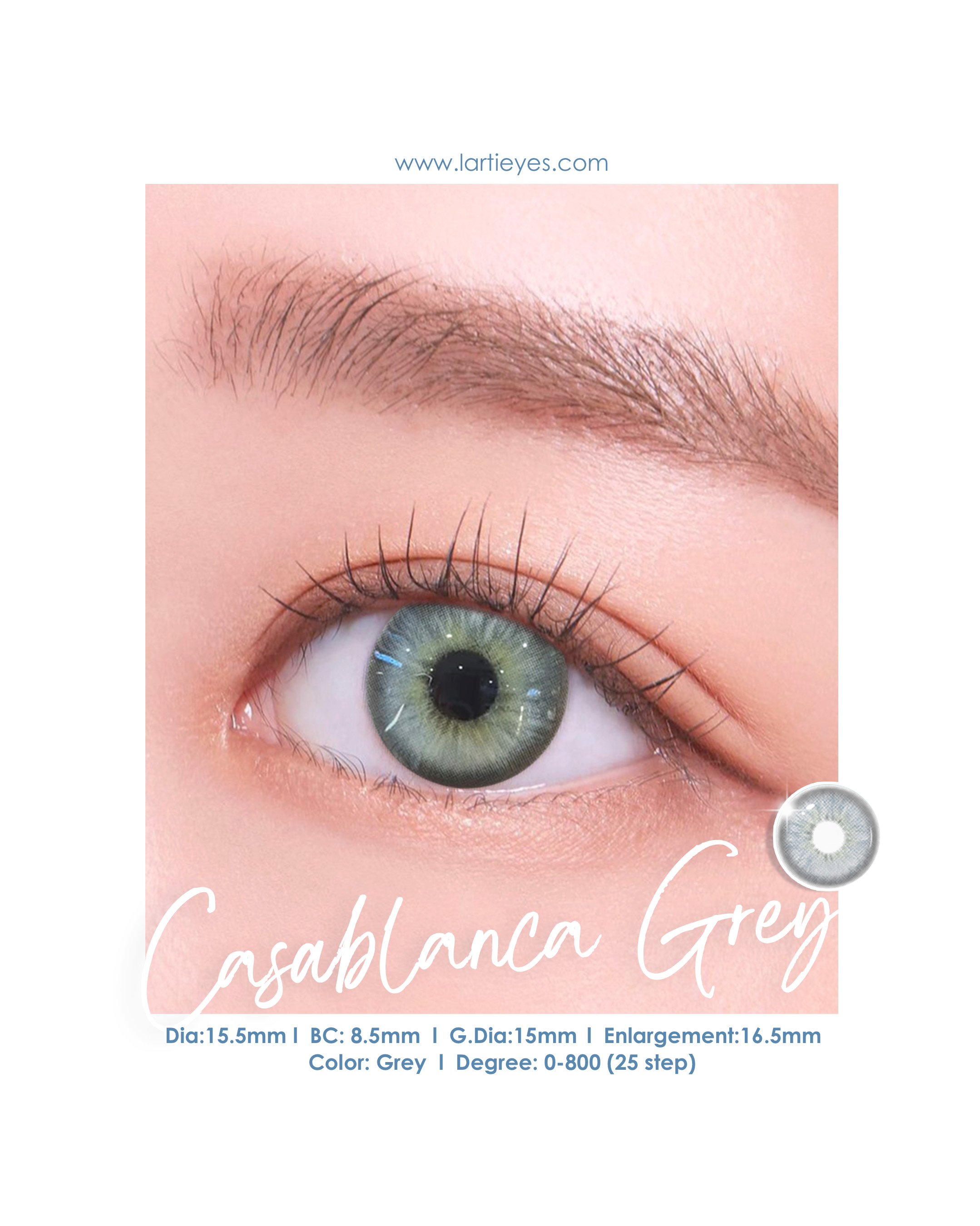 CASABLANCA GREY focus eyes