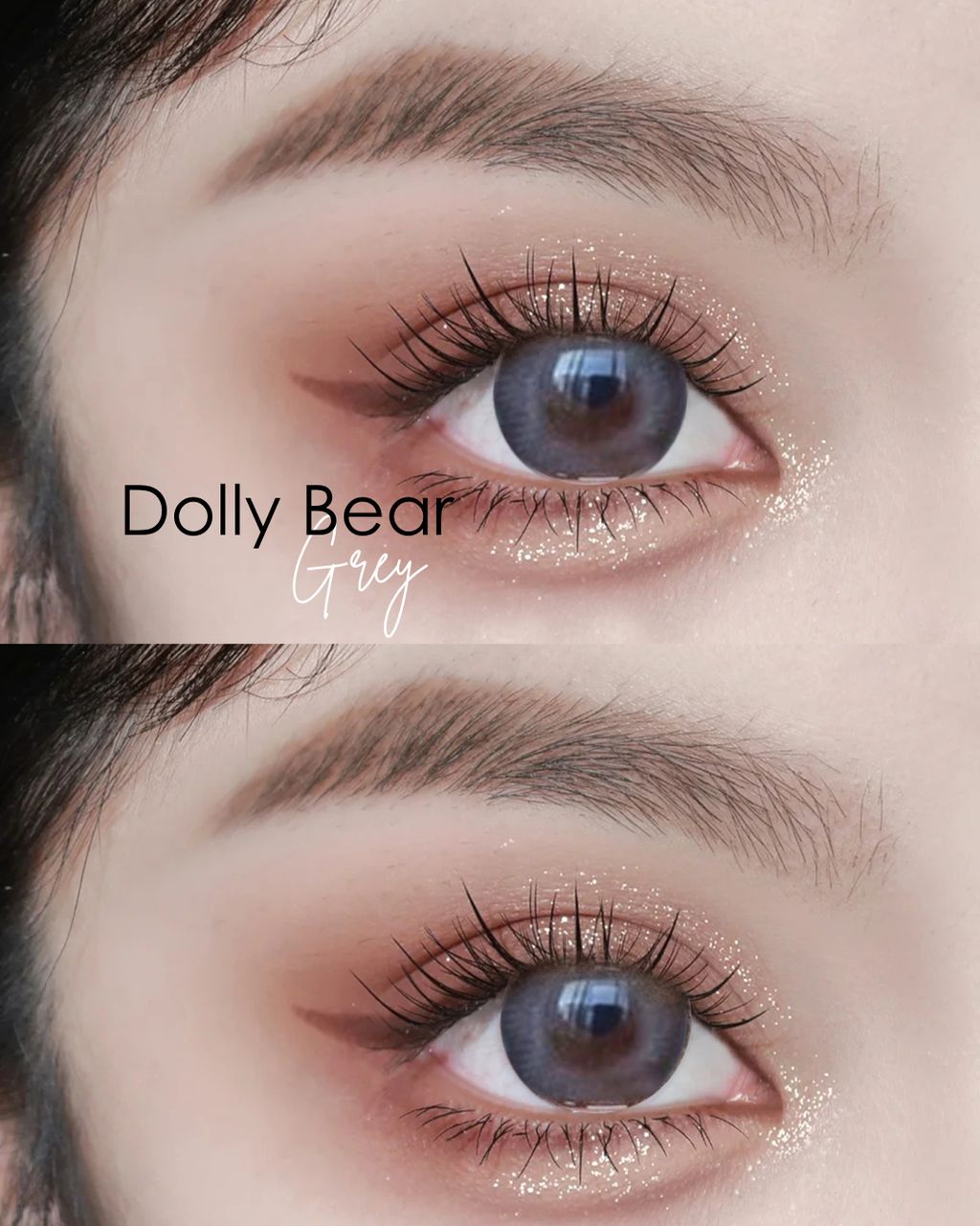 Dolly Bear grey Focus Eyes