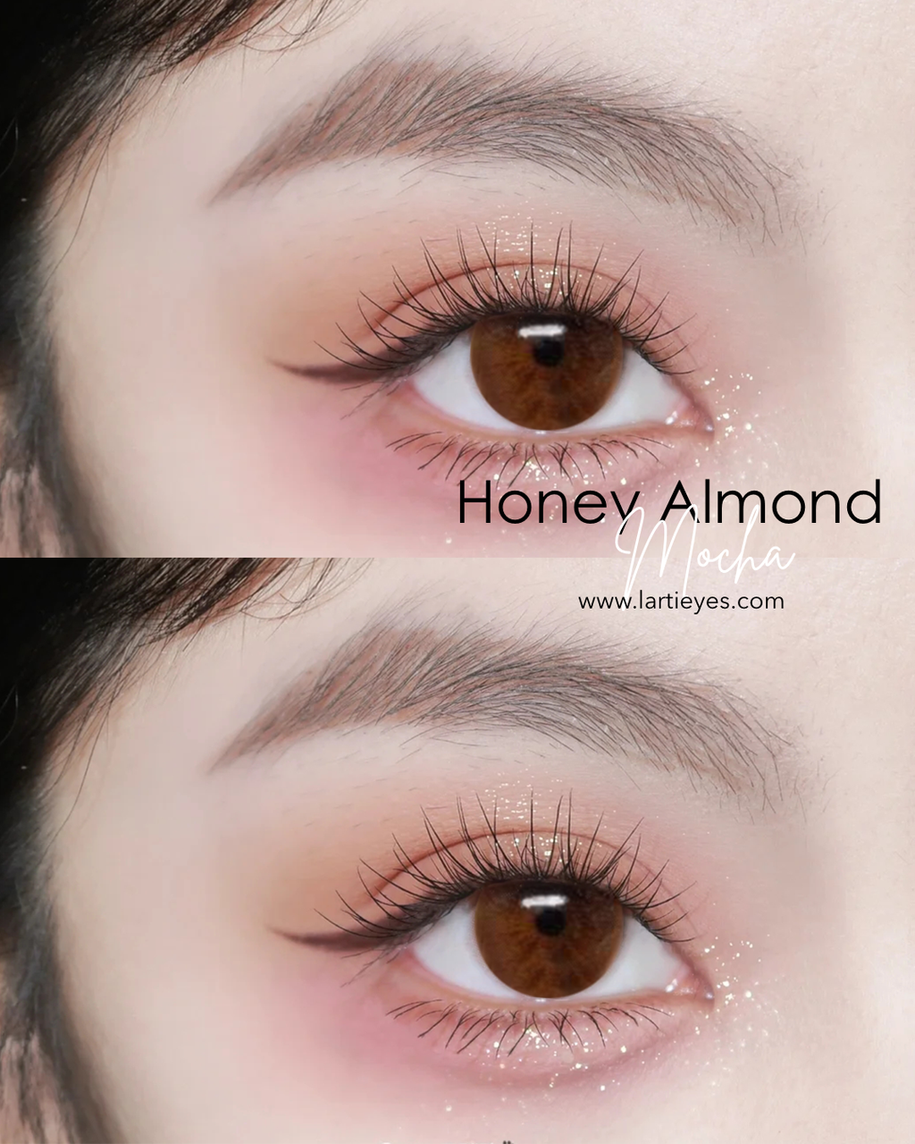 Honey Almond Mocha Focus Eyes