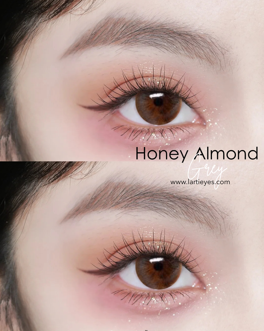 Honey Almond Grey focus eyes