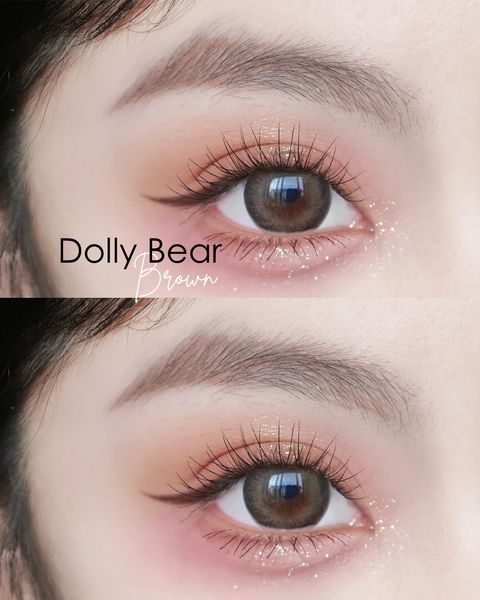 Dolly Bear Brown focus Eyes