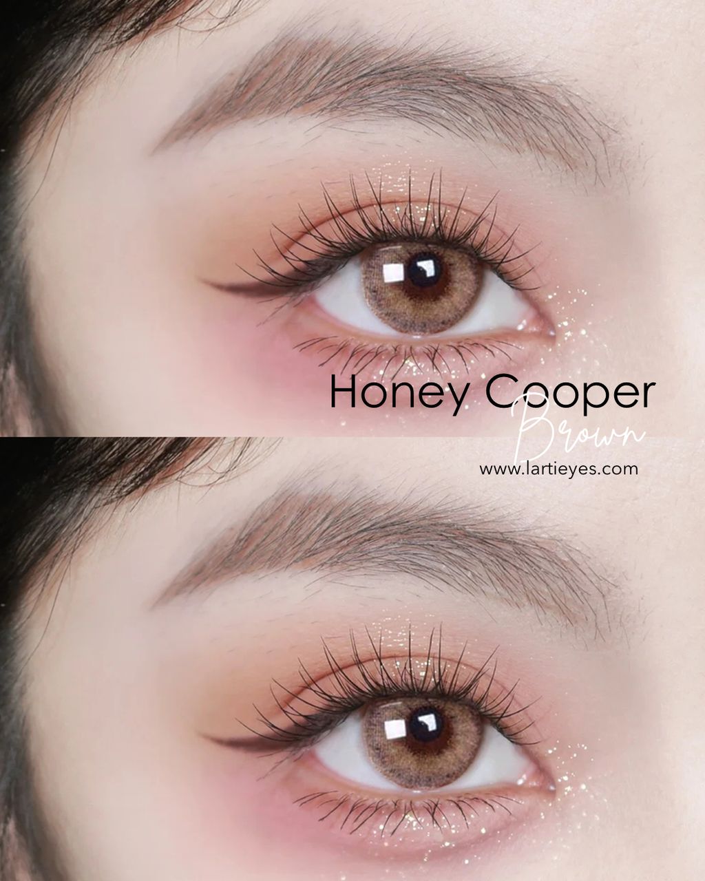 Honey Cooper Brown focus eyes