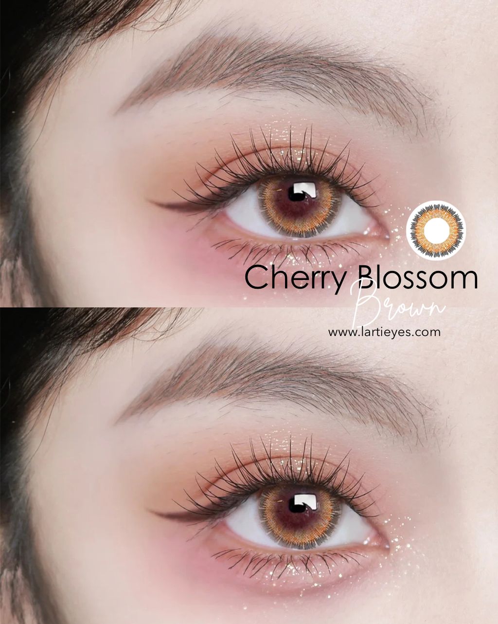 Cherry Blossom Brown focus eyes