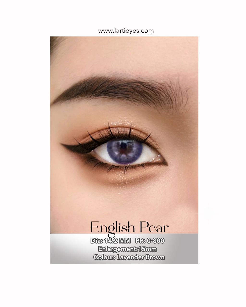 English Peal Lavender Brown Focus Eyes