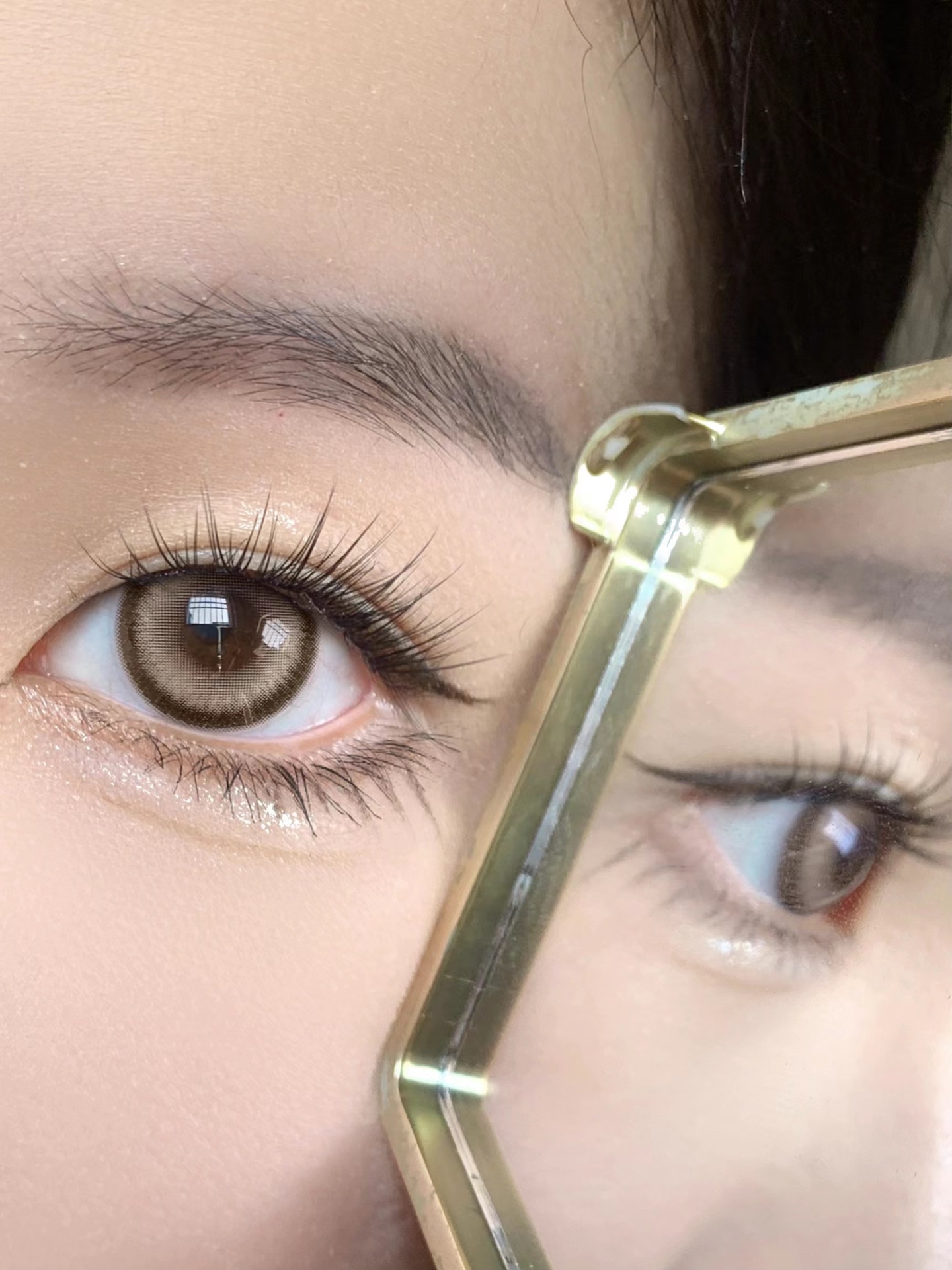 1817639631-1952609113