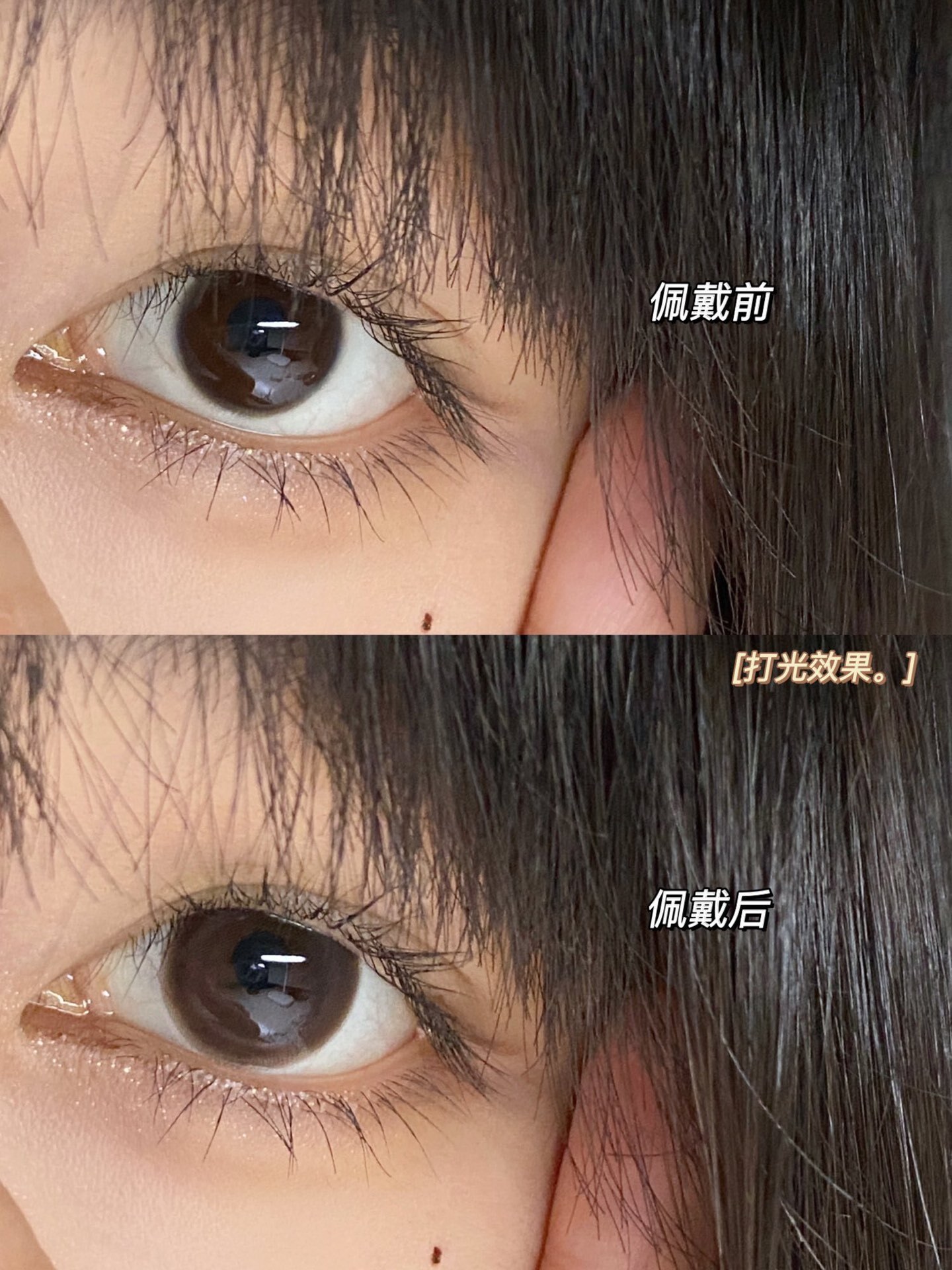 1817639631-1947917229