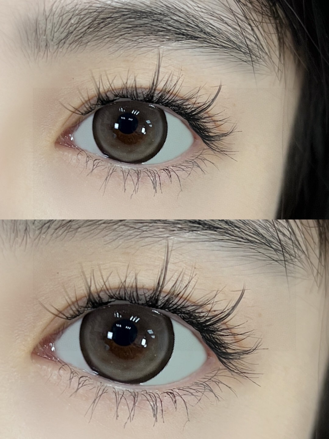 1817639631-442586259