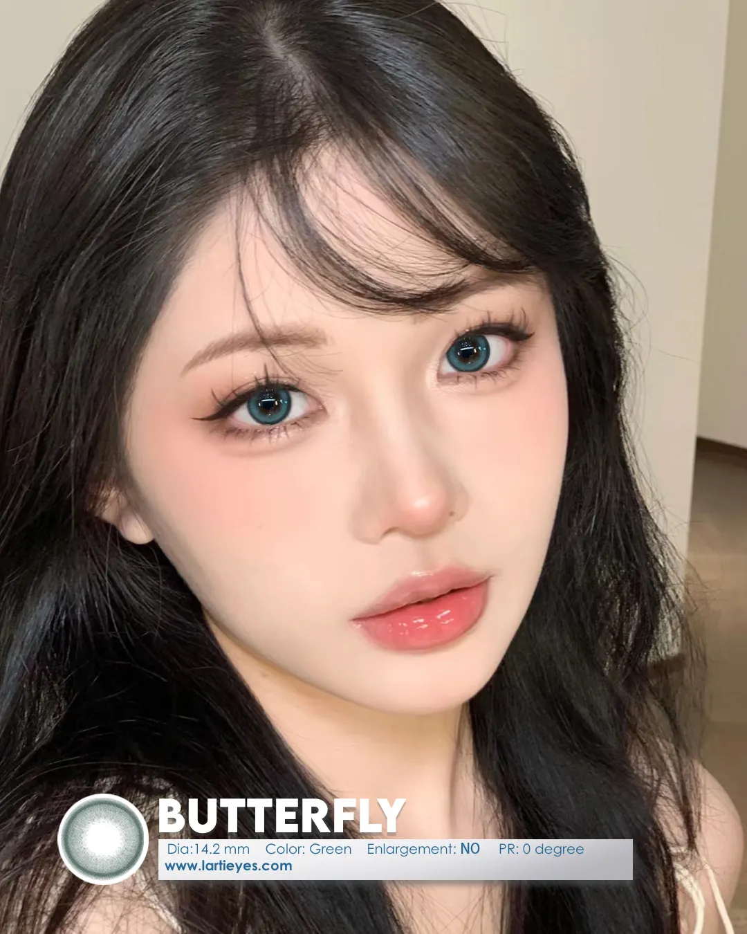 Butterfly model 1