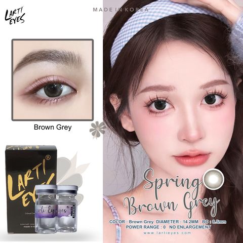 Spring brown grey Cover