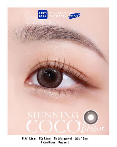 Shinning Coco Brown Focus eyes