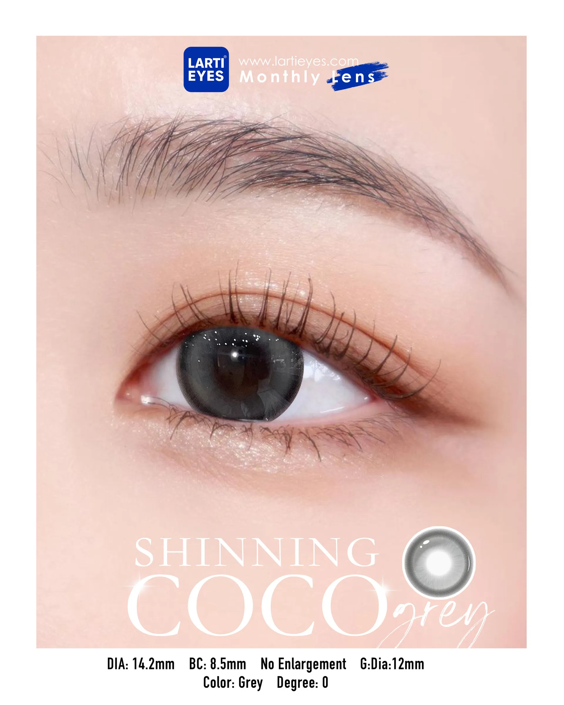 Shinning Coco Grey  Focus eyes