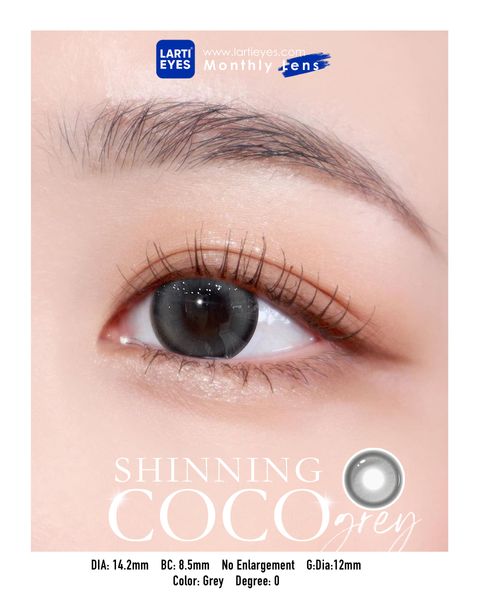 Shinning Coco Grey  Focus eyes