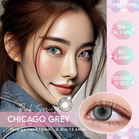 chicago grey Cover
