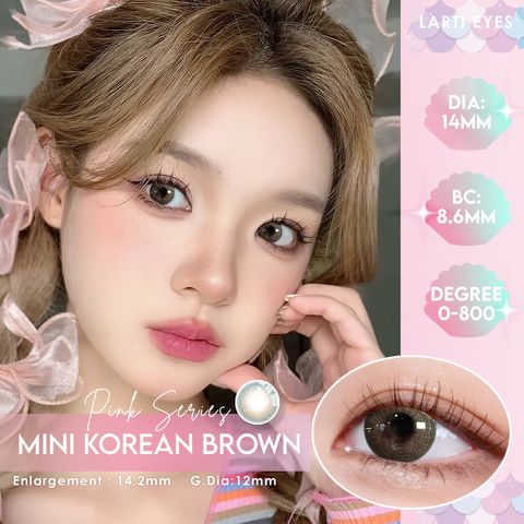 Mini Korean Brown Cover