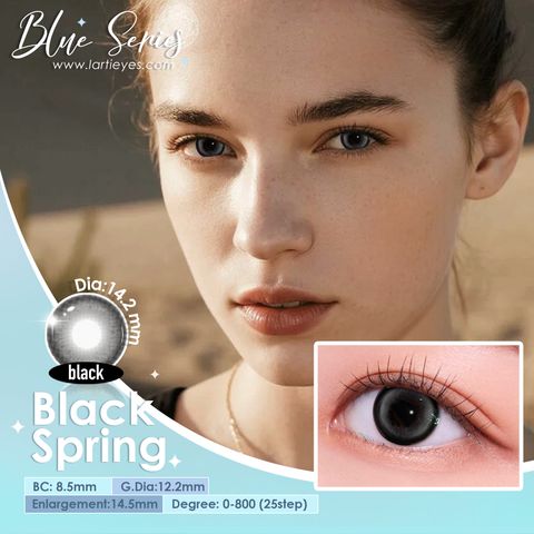Black Spring Cover