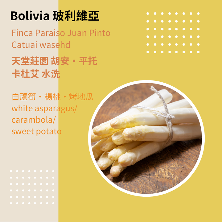 Bolivia Catuai