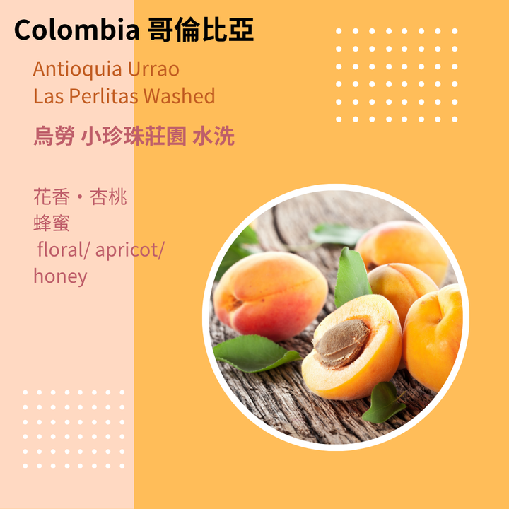 Col 小珍珠Ｗ