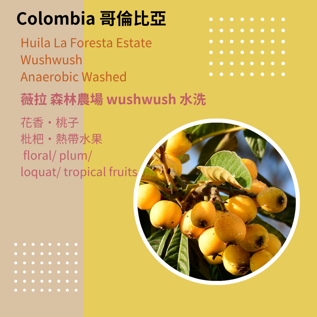 Col wushwush