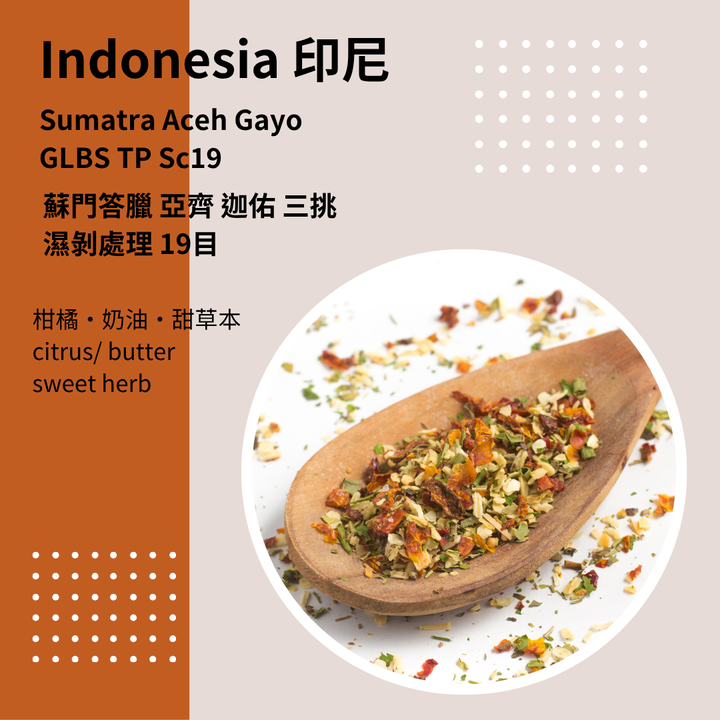 Arch Gayo
