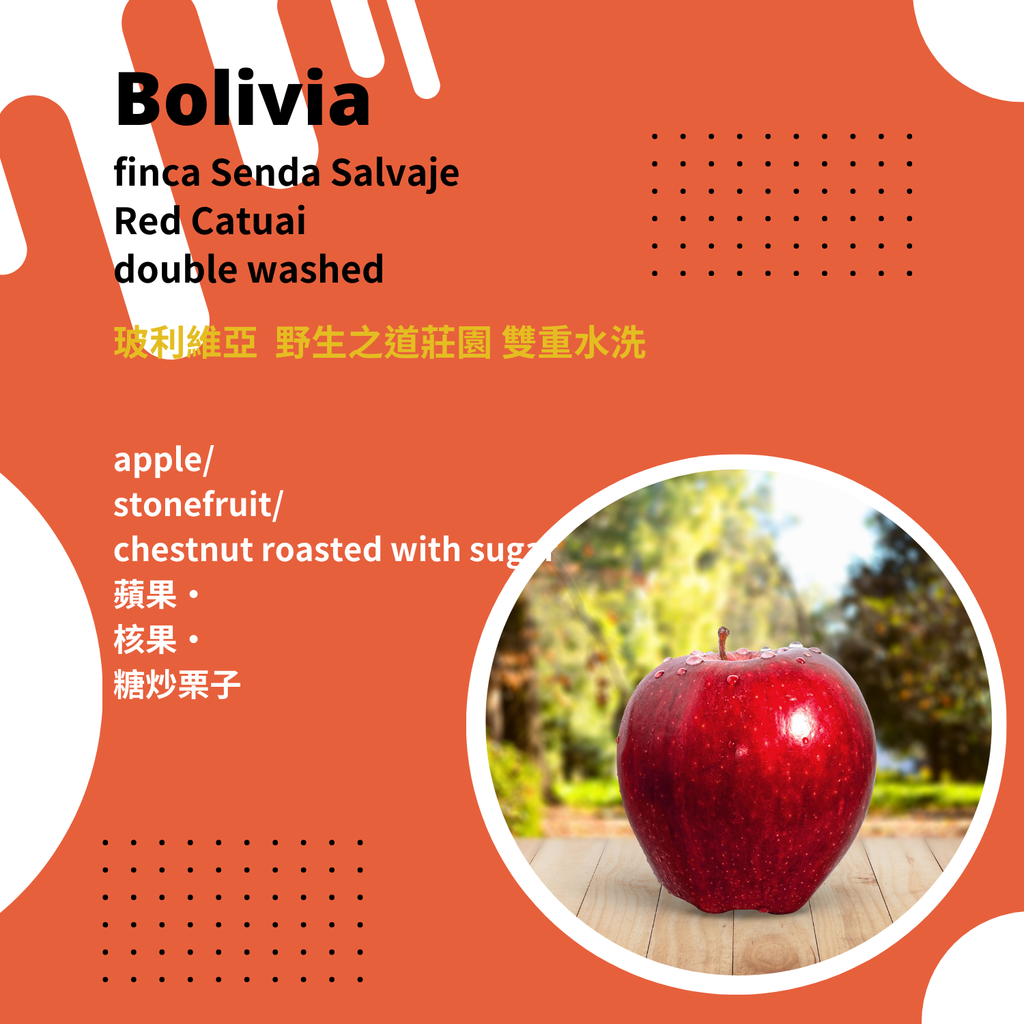 bolivia
