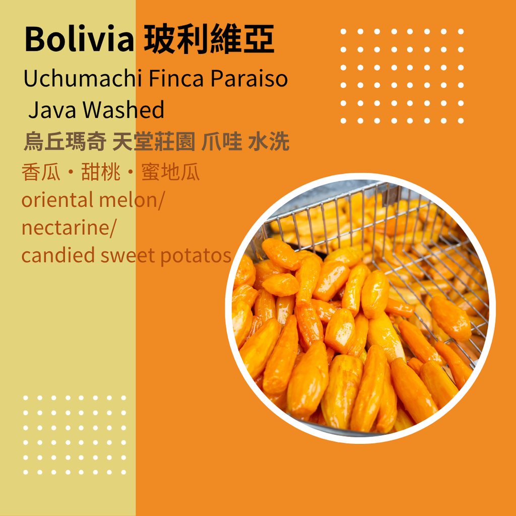 Bolivia JavaW