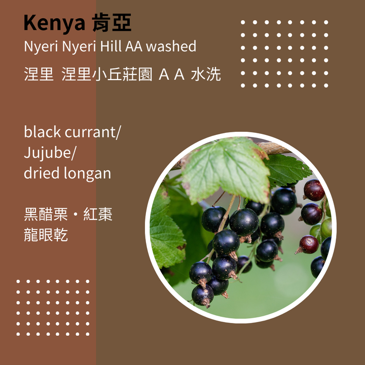kenya MR