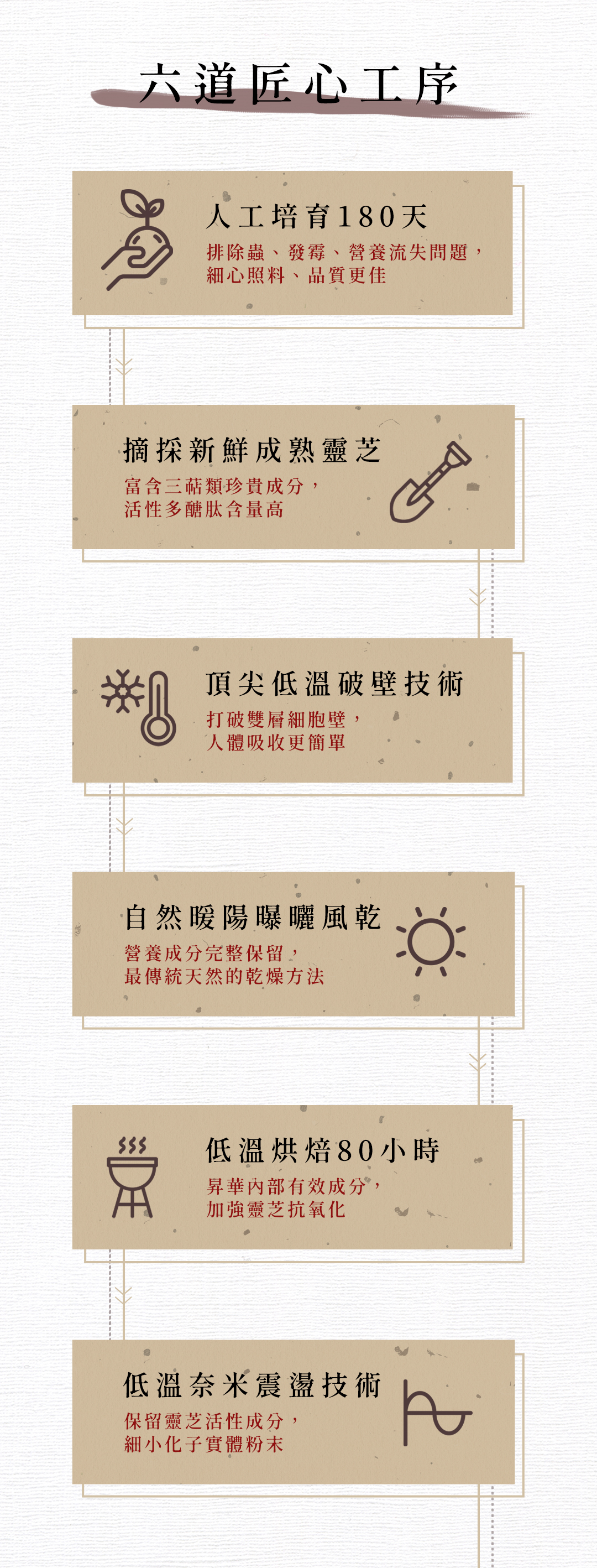 六道匠心工序,摘採新鮮成熟靈芝,富含三萜類珍貴成分,活性多醣肽含量高,人工培育180天,排除蟲、發霉、營養流失問題,細心照料、品質更佳,頂尖低溫破壁技術,打破雙層細胞壁,人體吸收更簡單,自然暖陽曝曬風乾,營養成分完整保留,最傳統天然的乾燥方法,低溫烘