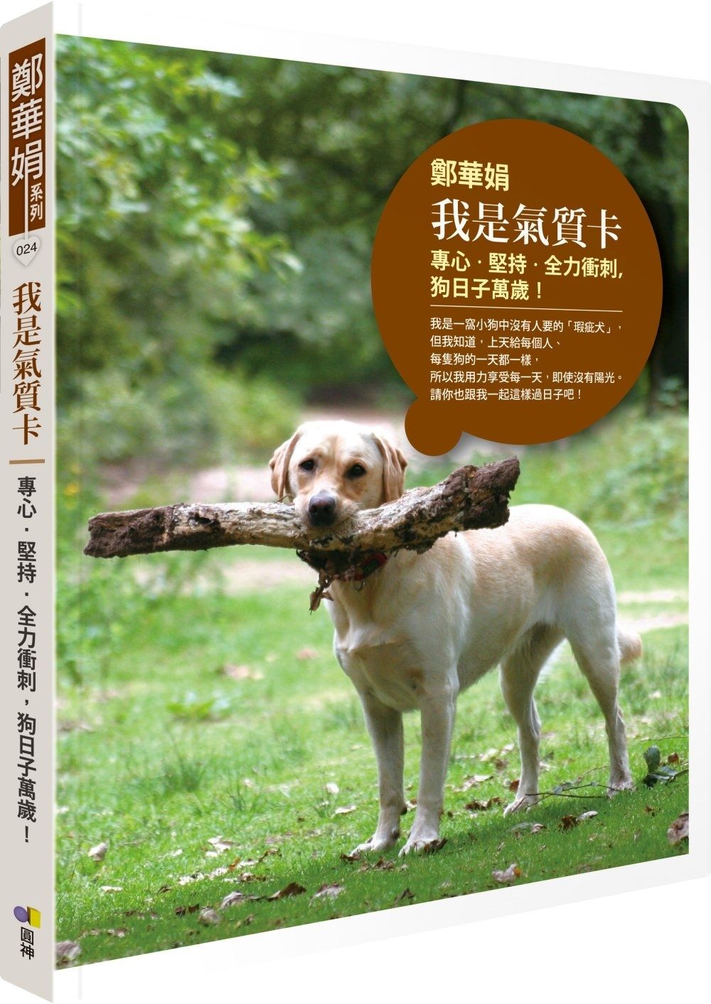 books_yuanshen_260