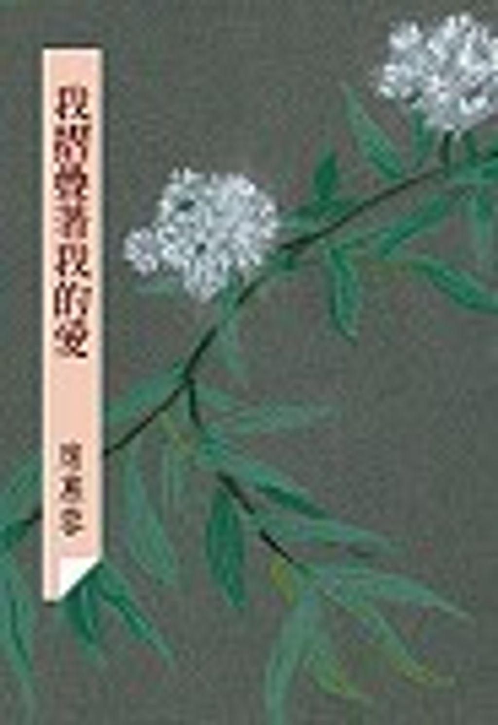 books_yuanshen_467
