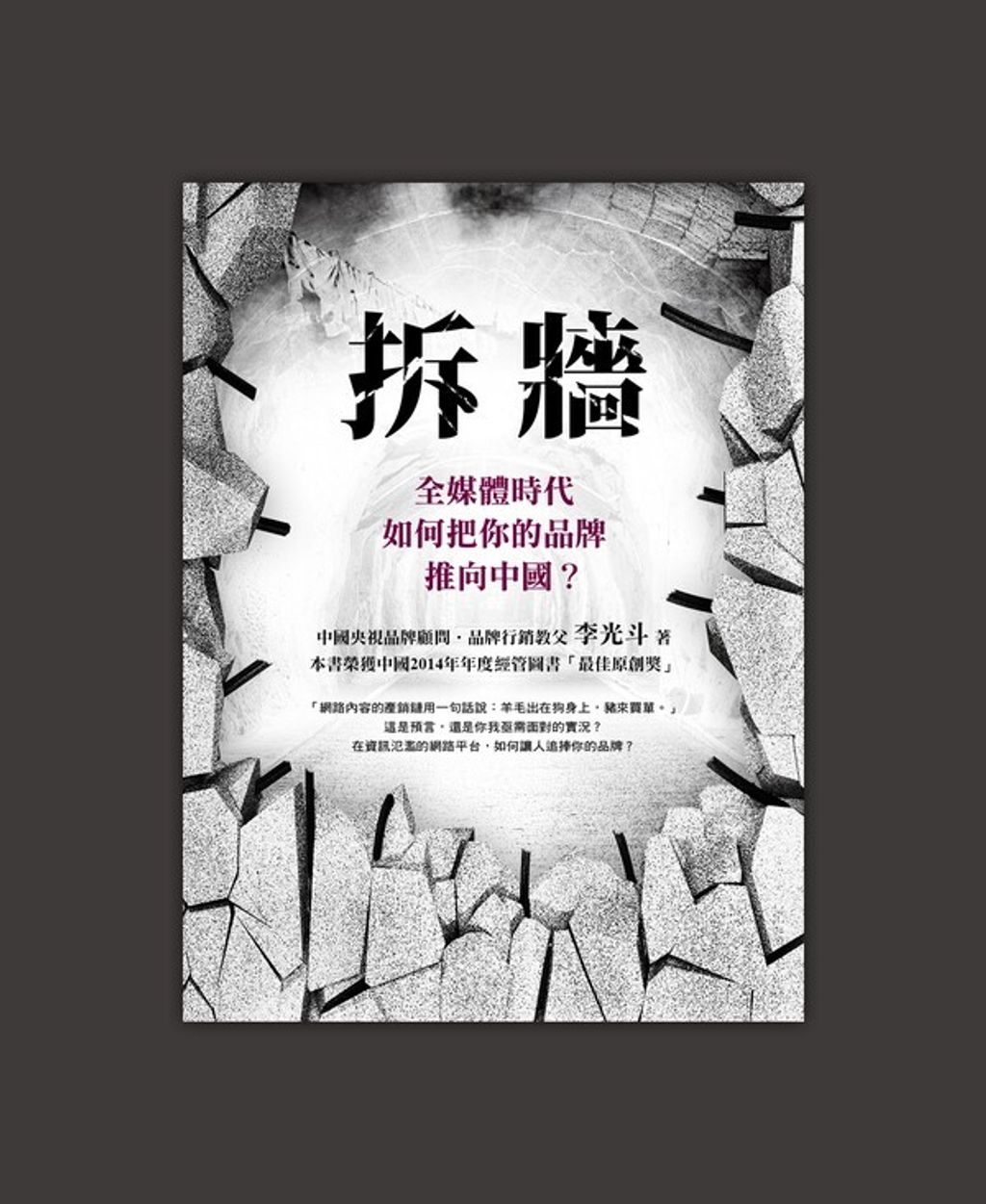 official_book_cover_06516