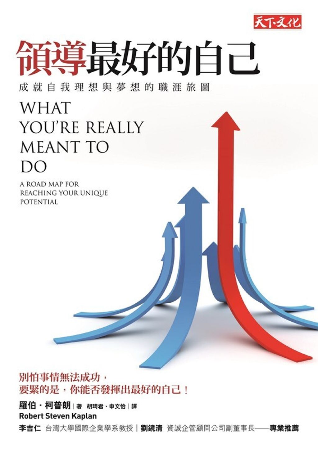 official_book_cover_07246